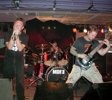 PIG DESTROYER